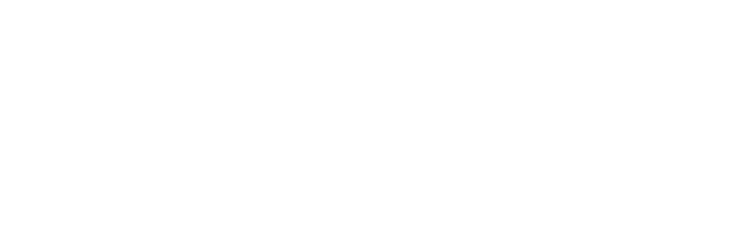 Say Family Foundation Logo